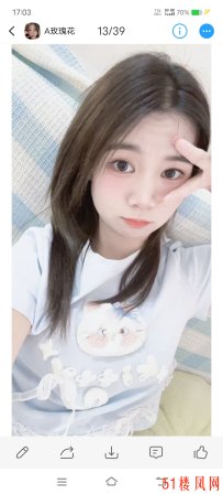 长安玫瑰花